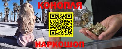 шишки Гатчина