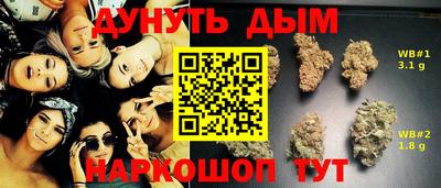 шишки Гатчина