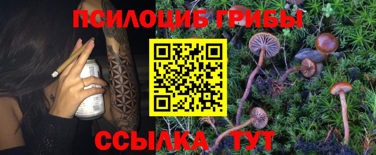 Псилоцибиновые грибы ЛСД Можга