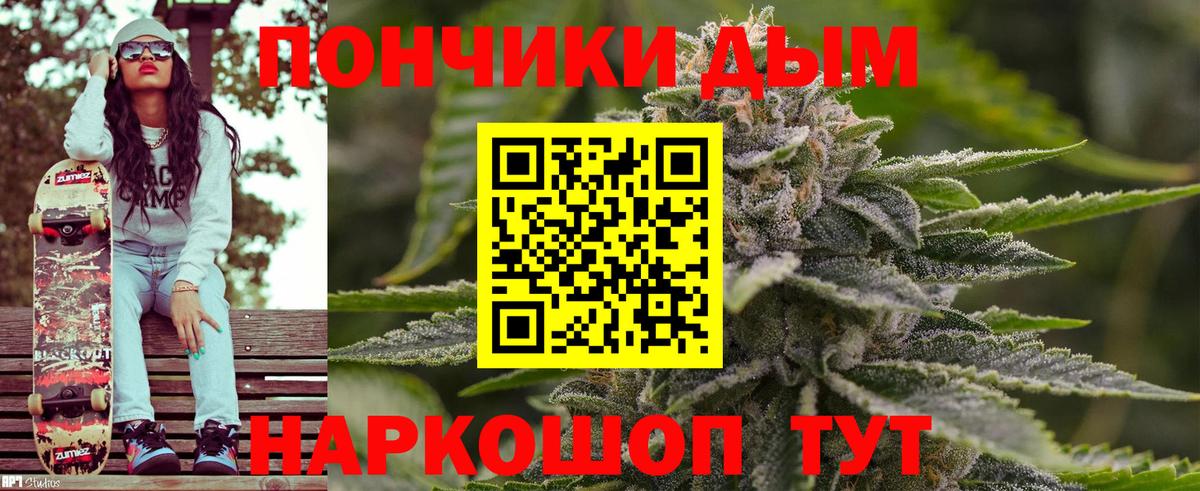 Конопля конопля Можга